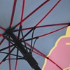 SPARCO RED BULL RACING UMBRELLA