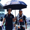 SPARCO RED BULL RACING UMBRELLA
